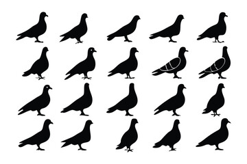 Fototapeta premium Shadows of Pigeons in Flight: A striking array of pigeon silhouettes in mid-flight, each capturing the essence of graceful movement against an unseen backdrop.