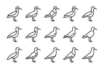 Bird Outlines in Pattern: A visually striking pattern showcases multiple minimalist outlines of elegant seabirds, creating a sense of structured beauty and visual interest. 