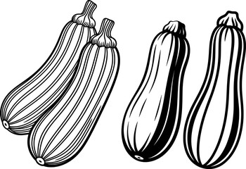 Elegant black silhouette of elongated ribbed zucchini, perfect for autumn harvest designs, packaging, and botanical illustrations