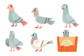 Cartoon Pigeons in various poses: A delightful illustration featuring six cartoon pigeons in assorted poses, showcasing their charming characteristics with a touch of whimsy.