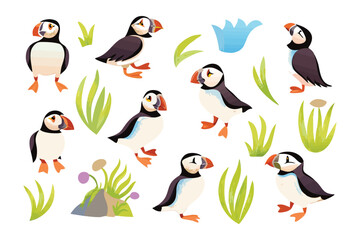 Naklejka premium Puffin Illustration Collection: A captivating array of stylized puffin illustrations, showcasing the charm of these sea birds in a whimsical nature scene, with accompanying plant elements.