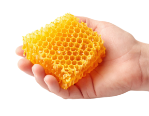 A person's hand holding a piece of honeycomb filled with golden honey isolated on transparent background. PNG die-cut for advertising