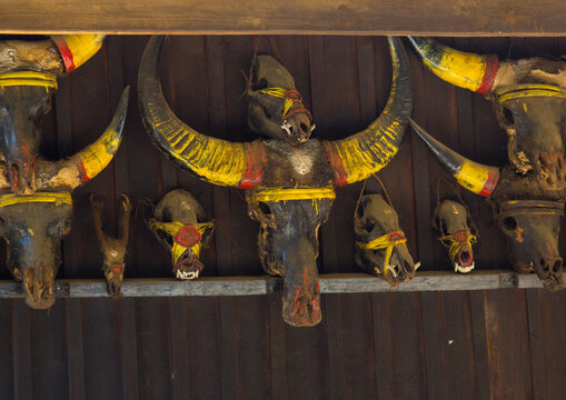Buffalos and gaurs skulls on a chin house, Mindat, Myanmar