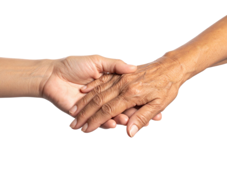 Two Hands One Young And One Old Holding Each Other Gently Support isolated on transparent background. PNG die-cut for advertising