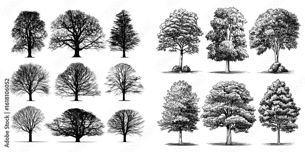 Poster a collection of tree silhouettes in various forms and sizes is set against a white background in thi