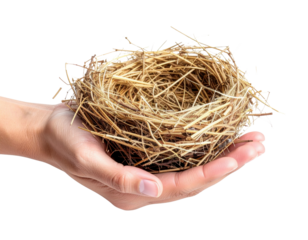 A person's hands gently holding an empty bird's nest constructed from natural materials isolated on transparent background. PNG die-cut for advertising