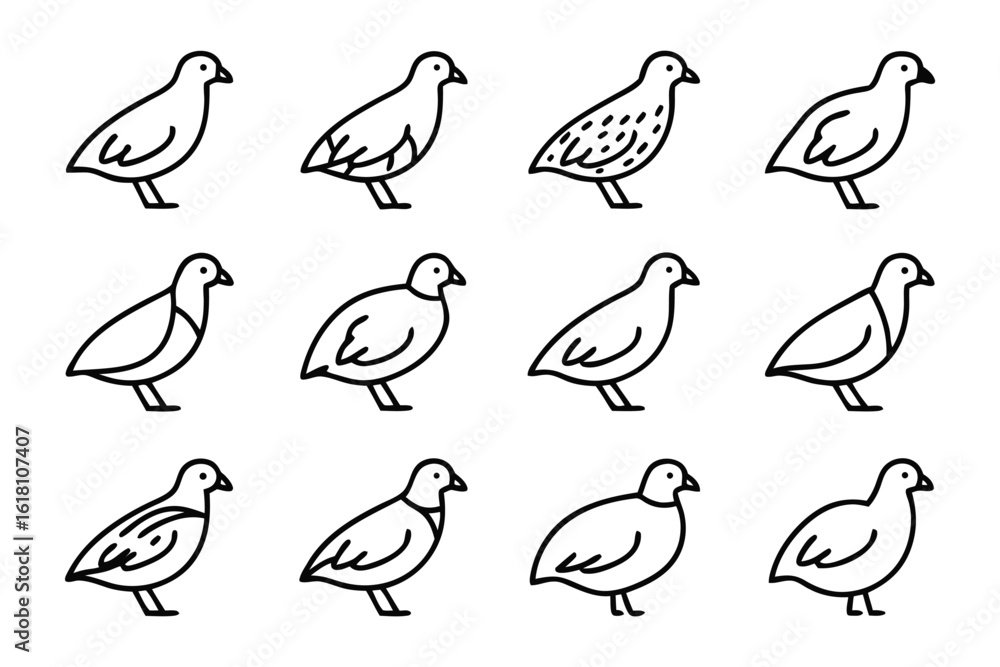 Poster quail illustration: a simple, yet elegant set of graphic illustrations capturing different artistic 