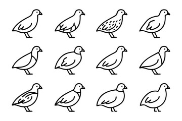 Quail Illustration: A simple, yet elegant set of graphic illustrations capturing different artistic variations, from simple outlines to intricate pattern details of a quail.