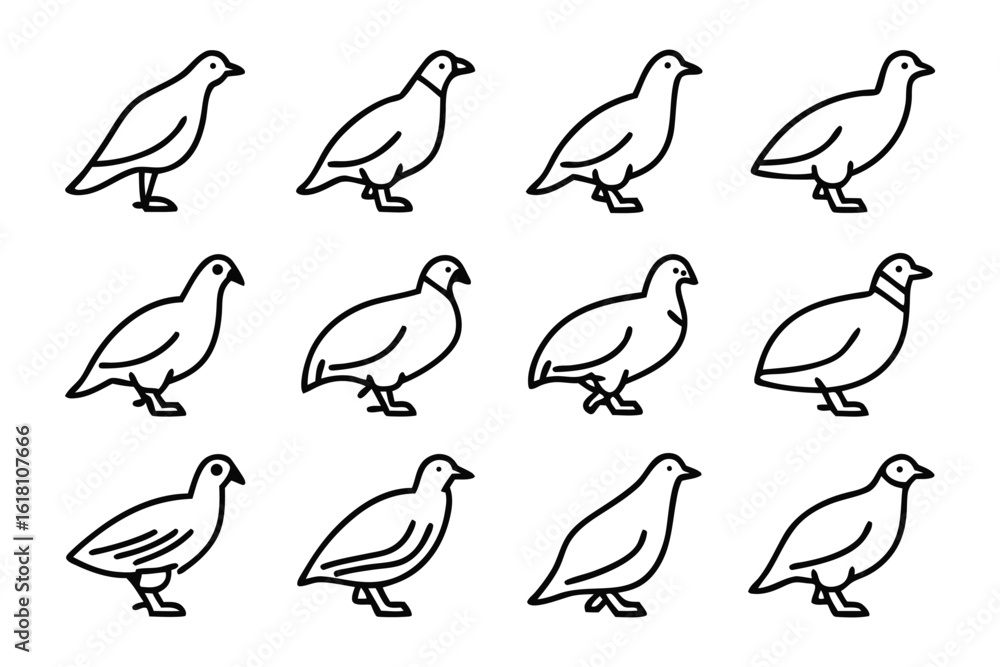 Poster avian outline series: a captivating series of outlined bird illustrations showcasing avian forms in 