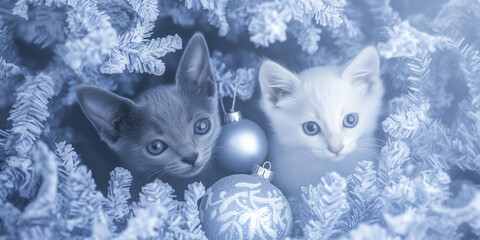 A dark and a light kitten looking out of a Chritmas tree. Blue and white two-tone image.