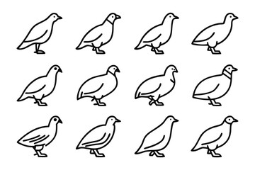 Avian Outline Series: A captivating series of outlined bird illustrations showcasing avian forms in minimalistic detail and elegant line work, perfect for various design applications.