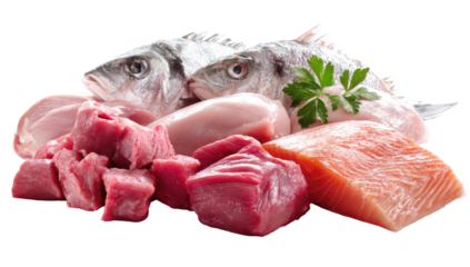 Fresh seafood and meat assortment