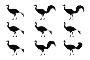 Bird Silhouettes: A stylish composition showcases a series of elegant bird silhouettes, each exuding grace and sophistication, rendered in pure monochrome.