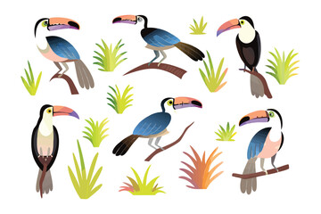 Exotic Toucans in Their Habitat: A vibrant collection of animated toucans showcases their distinctive features within a lush habitat, evoking a sense of biodiversity and tropical charm.