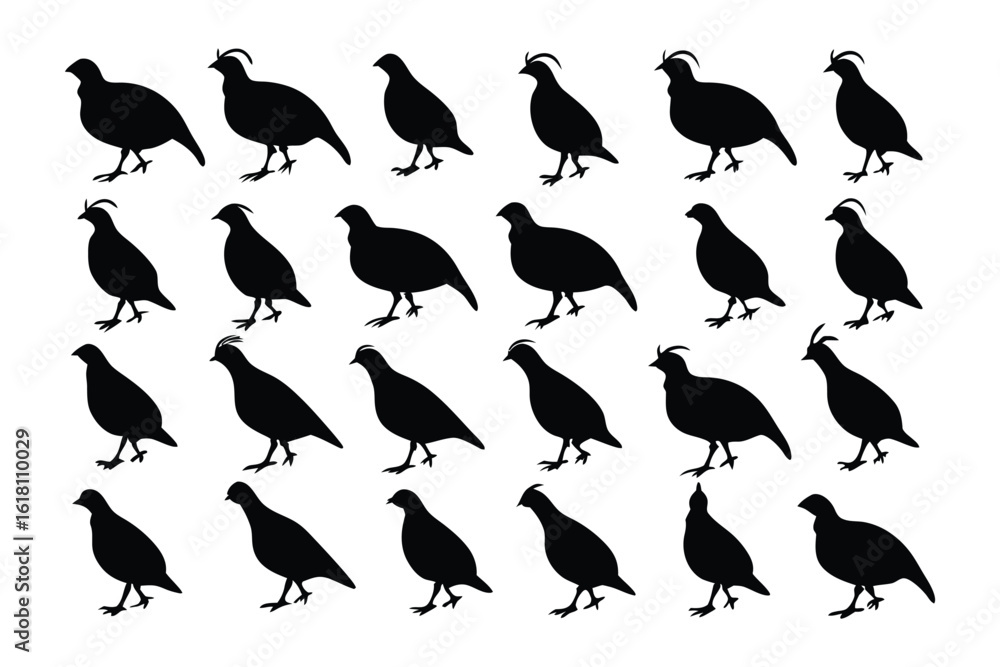 Poster quail silhouette in uniform: a meticulously arranged group of quail silhouettes, each precisely rend