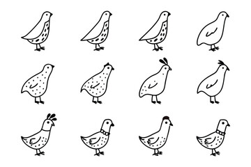 Quail Sketches: A series of adorable hand-drawn sketches capturing the endearing charm and unique features of these fascinating birds.