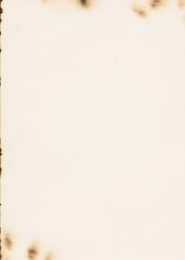 Beige paper texture shows burnt edges; provides a versatile backdrop for product photography, artistic posters.