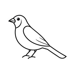 vector illustration of a bird