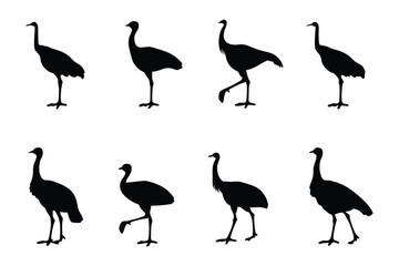 Dancing Emu Silhouette: A monochrome display presents an emu's silhouette captured in a captivating dance, illustrating movement and avian grace, conveying a sense of rhythm.