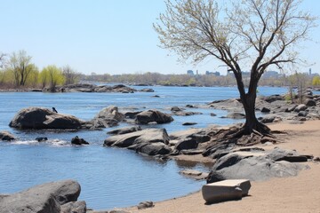 Calm river scene with rocks and trees