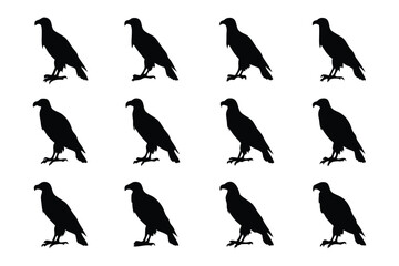 Symbolic Eagle Silhouette Grid: A meticulously arranged grid of eagle silhouettes, representing the strength, freedom, and unwavering focus.