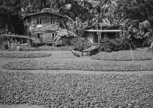 House in the country, Ngapali, Myanmar