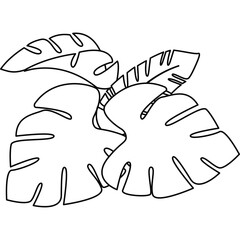 Summer Leaves Line Illustration