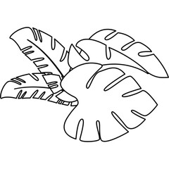 Summer Leaves Line Illustration