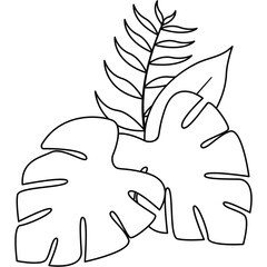 Summer Leaves Line Illustration