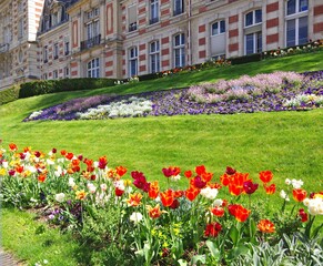 Colorful Tulips in Bloom at Versailles Garden, France