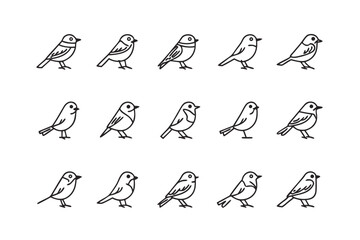 Bird Collection Line Art: A comprehensive set of intricate, single-line illustrations showcasing a diverse array of avian species, highlighting their unique characteristics and forms. 