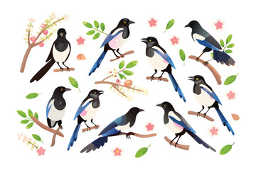 Magpies' Enchanted Dance: A vibrant arrangement of magpies perched amidst delicate branches and blooming blossoms, each capturing the essence of spring's awakening.
