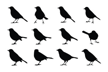 Silhouette Symphony: A collection of meticulously crafted bird silhouettes, arranged in a visually appealing pattern that captures the elegance and grace of avian forms. 