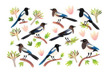 Magpies on the Branches: A charming, close-up illustration showcases several magpies perched elegantly on tree branches, surrounded by soft, stylized foliage, against a clean, minimalist backdrop.