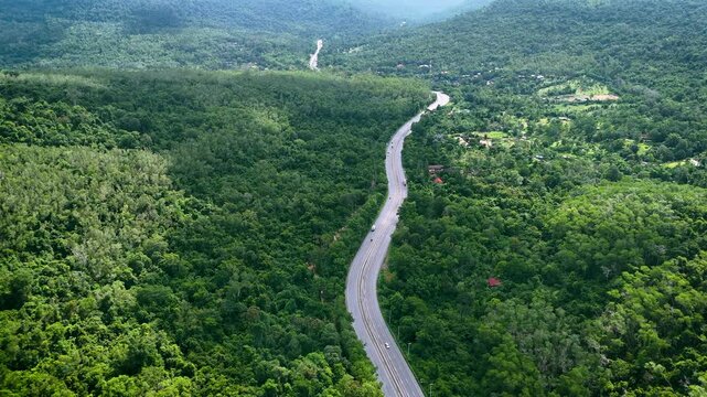 Drone footage of the aerial view of a winding road cutting through lush green forest. Scenic highway number 304 in Thailand links the Bangkok area to Nakhon Ratchasima in the northeastern region
