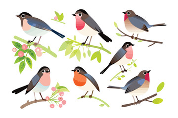 Whimsical Bird Collection: A charming ensemble of various songbirds in a delightful display, perched gracefully on branches, evoking a sense of wonder and springtime joy.