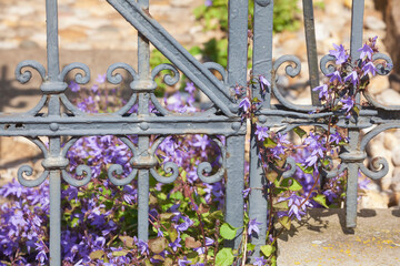 Alter verzierter Gartenzaun aus Gußeisen und Blumen ,Bremen, Deutschland
