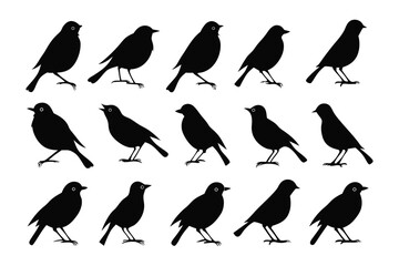 Silhouettes of Birds: Fifteen sleek, solid-black bird silhouettes, perched in a symmetrical row against a clean background, creating a minimalist yet impactful visual.