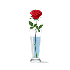 Crystal vase with single stem rose flat vector illustration, elegant vertical layout and modern aesthetic on white background