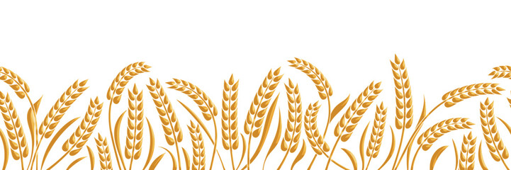 Wheat field, ears of wheat, rye or barley, agriculture and harvest, seamless border, isolated silhouette on white background, vector drawing