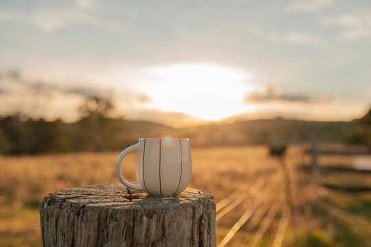 Coffee mug with sunflare sitting on fence post on farm at sunrise