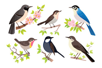 Naklejka premium Charming Avian Portraits: A captivating collection of adorable songbirds perches gracefully on delicate flowering branches. This illustrative composition celebrates nature's exquisite detail.
