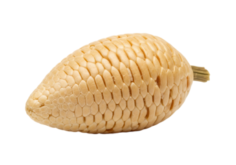 Close-up of a textured, light beige object.