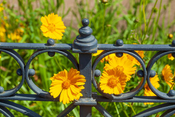 Alter verzierter Gartenzaun aus Gußeisen und Blumen ,Bremen, Deutschland