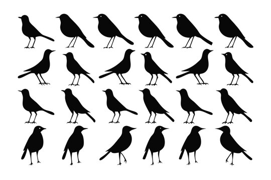 Silent flock silhouette: A captivating visual of a flock silhouette with dark avian figures, each poised in a unique posture against a minimalist backdrop.