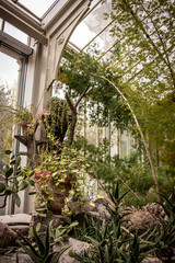 The botanical garden greenhouse, where various plants grow with trailing vines, thorns, long curved trunks, and aloe.