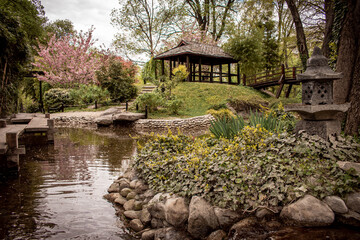 A Japanese garden with a neatly trimmed lawn, blooming cherry trees, and other plants. A wooden...