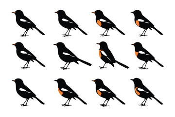 Black bird illustrations : A collection of illustrated black birds on a clean backdrop, perfect for graphic design, showcasing the simple beauty of nature.