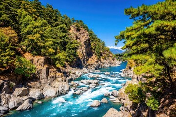 Fototapeta premium Turquoise river flowing through rocky gorge, lush forest