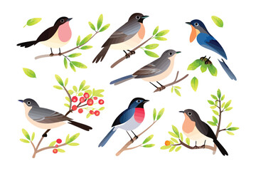 Colorful Avian Collection: A vibrant collection of various bird species perched gracefully on branches. Showcasing a kaleidoscope of colors, textures, and designs.